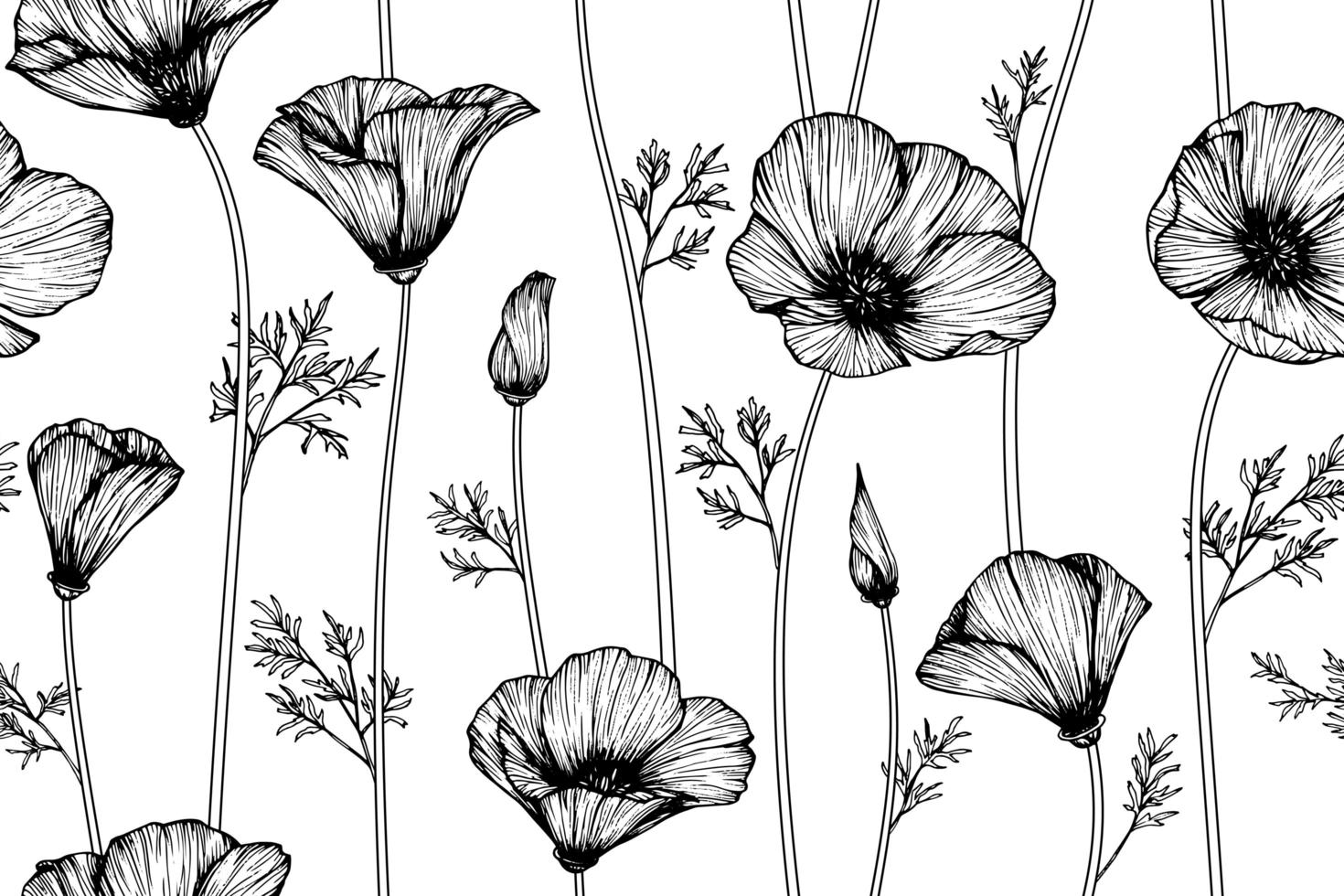 california poppy bloemen vector