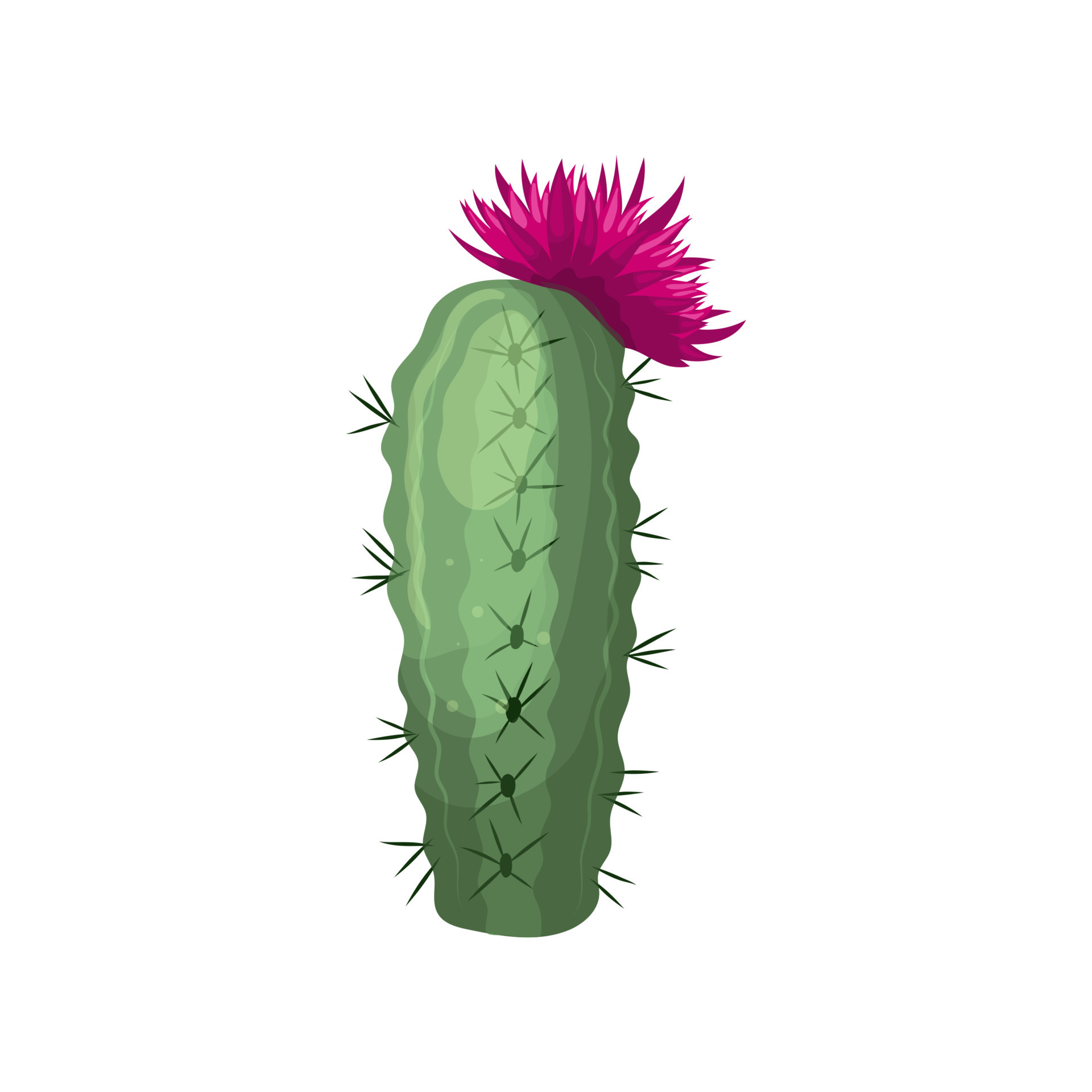 september bedreiging kousen cactus bloem tekenfilm vector illustratie 17440865 - Download Free Vectors,  Vector Bestanden, Ontwerpen Templates