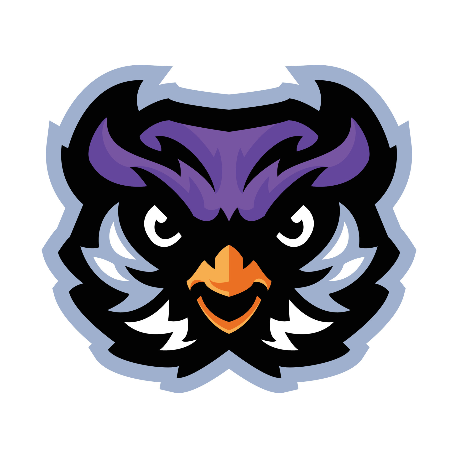 uil mascotte logo voor sport- teams merken 21672559 Vectorkunst bij Vecteezy