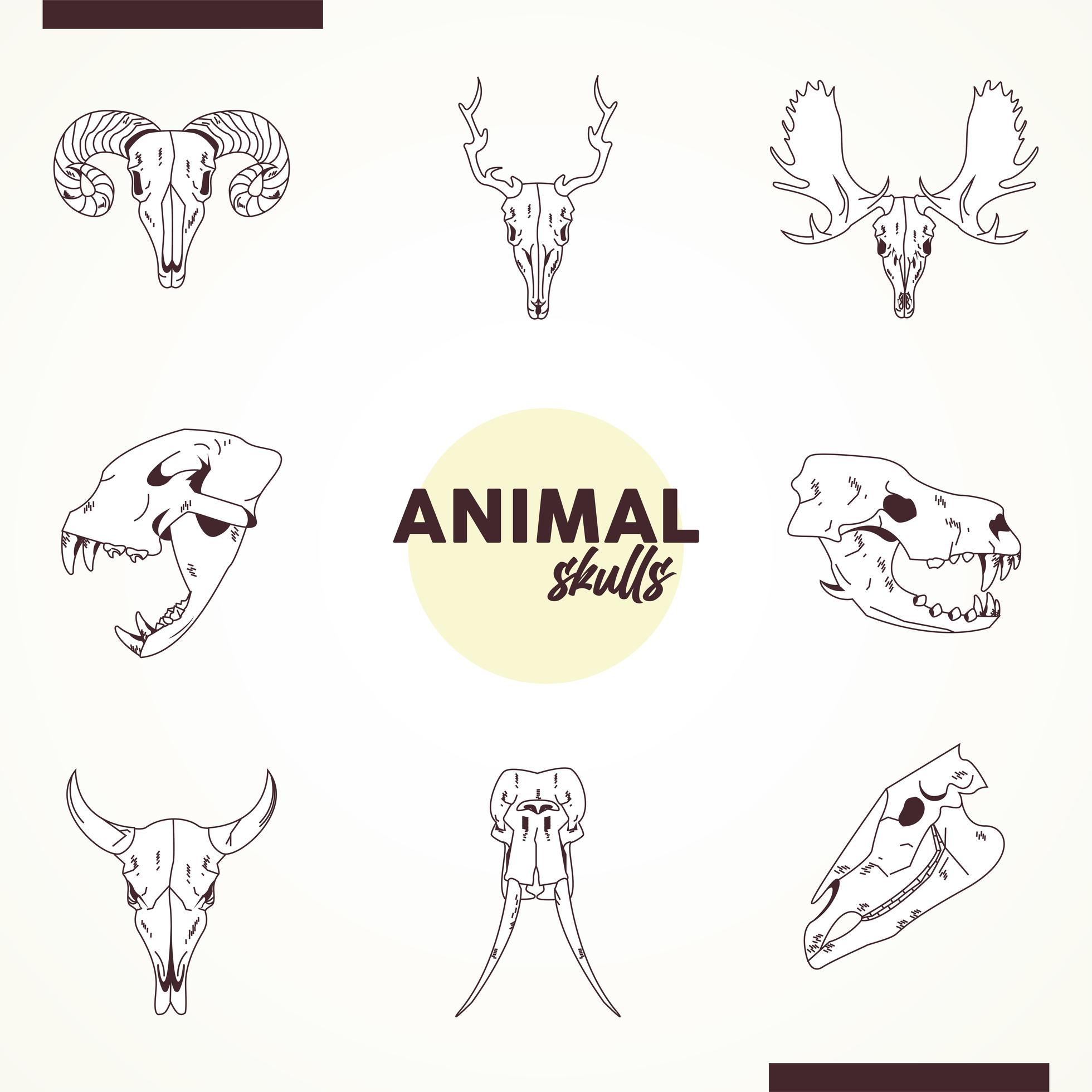 bundel van acht schedels dieren hoofden pictogrammen 2502603 - Download Vectors, Vector Ontwerpen Templates