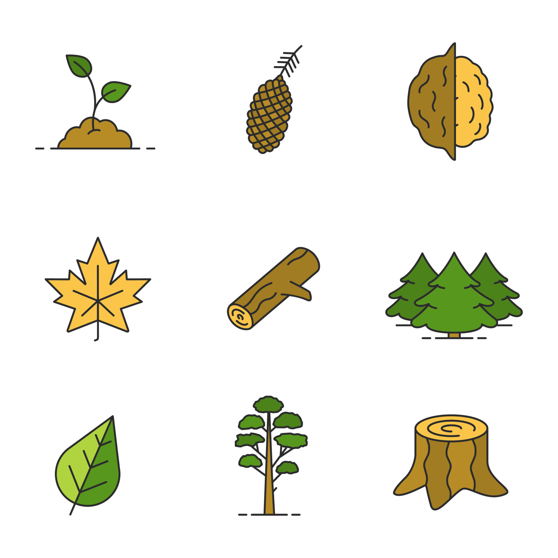 bosbouw gekleurde pictogrammen instellen. groeiende spruit, dennenappel en boom, geopende walnoot, esdoornblad, brandhout, dennenbos, stronk. geïsoleerde vectorillustraties 4183270 - Download Free Vectors, Vector Ontwerpen Templates