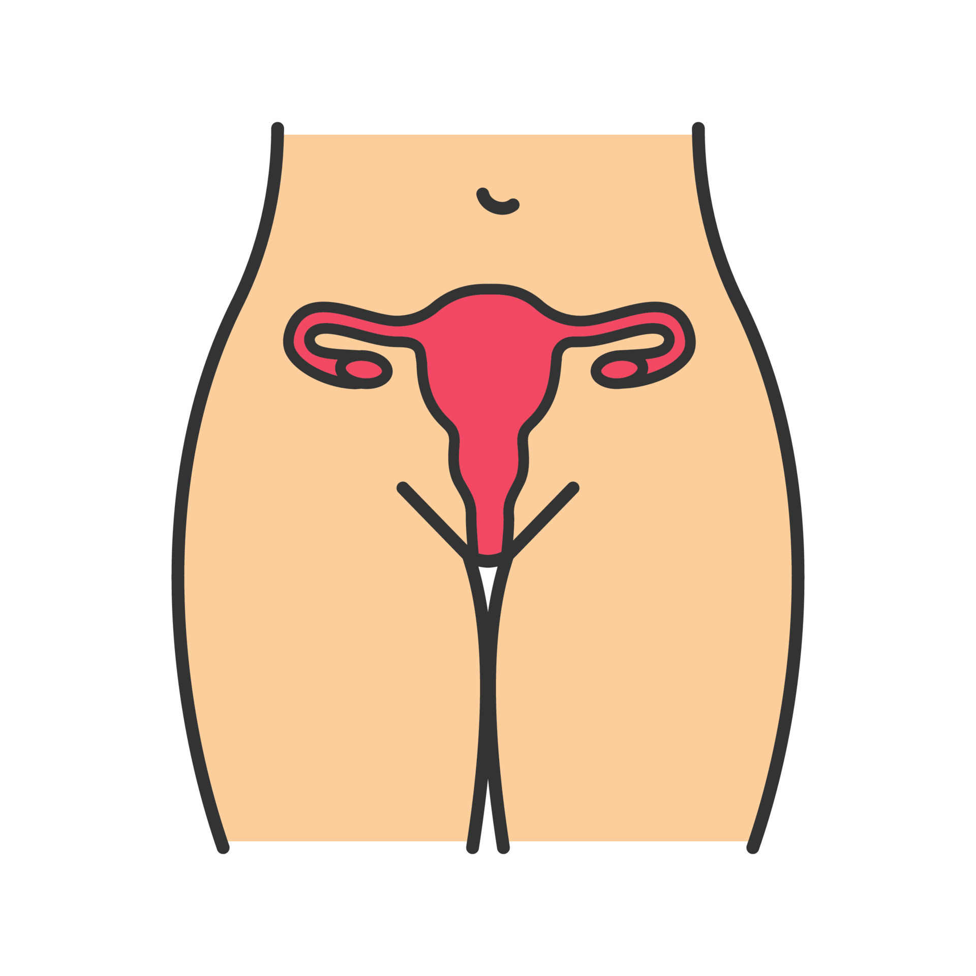 vrouwelijke reproductieve systeem kleur icoon. baarmoeder, eileiders en vagina. gezondheid van vrouwen