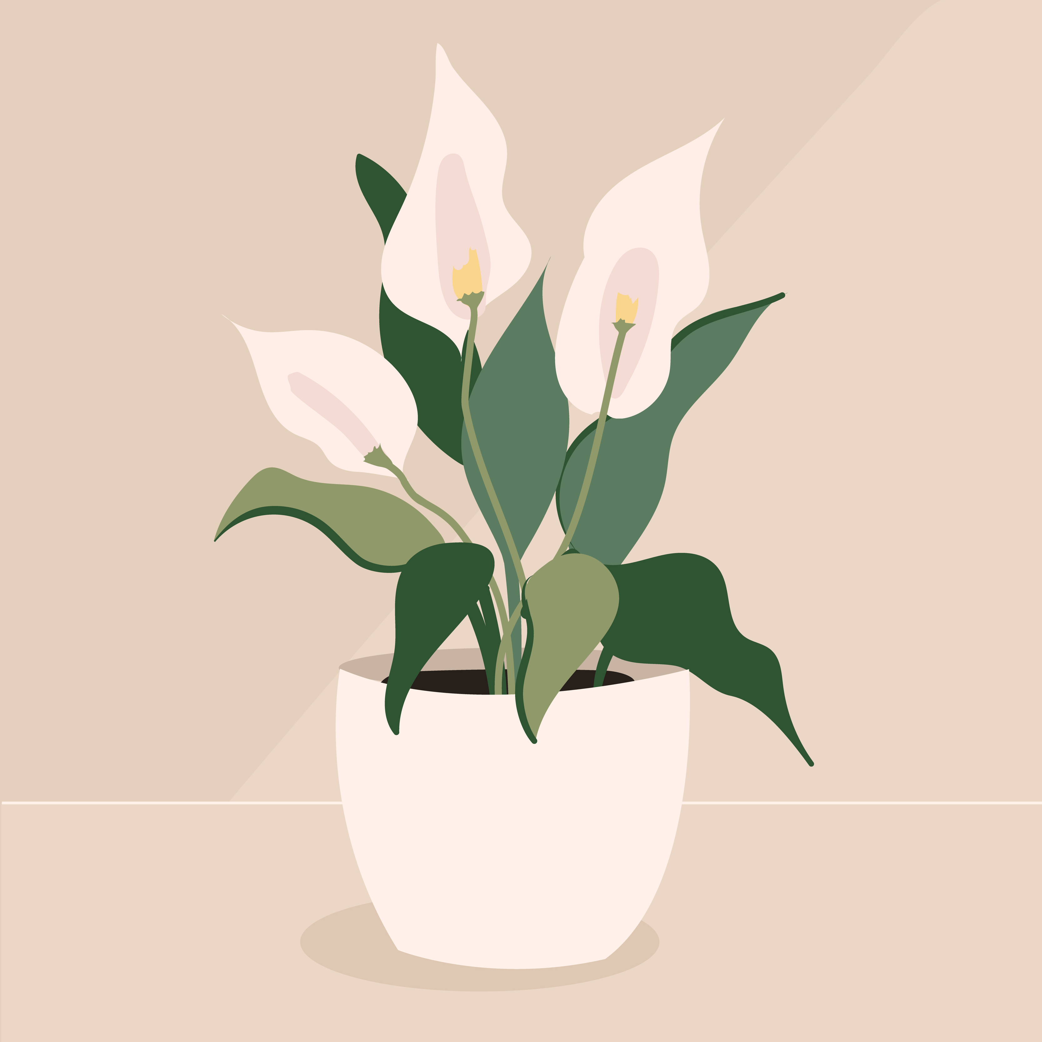 Jood mosterd vervagen bloempot spathiphyllum heldergroen blad met witte bloemen, kamerplant  6645204 - Download Free Vectors, Vector Bestanden, Ontwerpen Templates