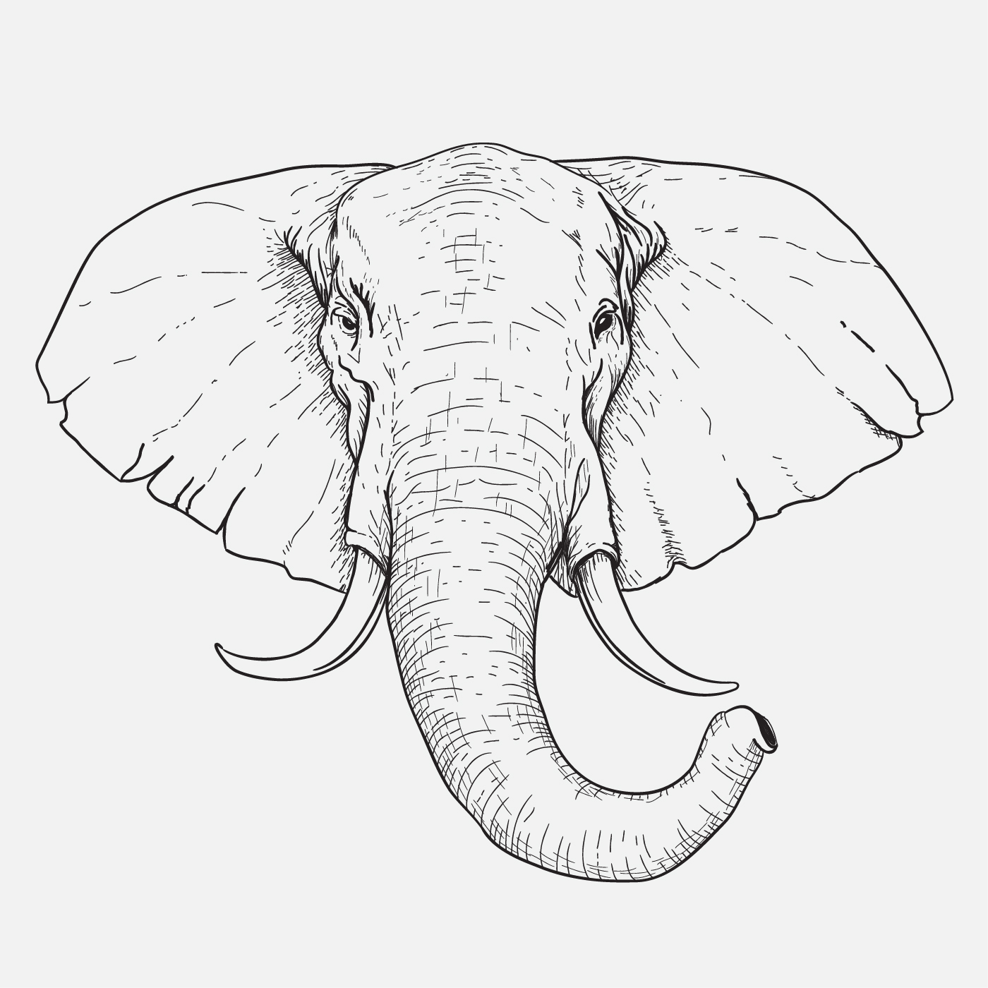 Chronisch Zielig Berg kleding op Hand getekend olifant hoofd ontwerp 686460 Vectorkunst bij Vecteezy