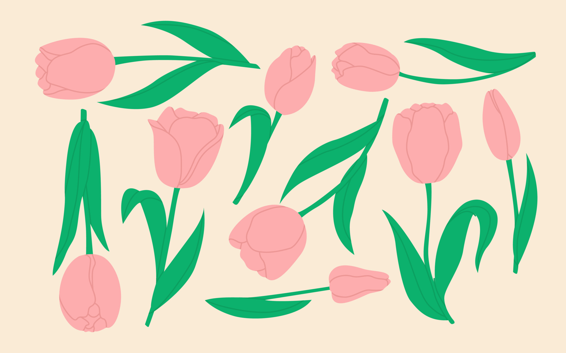 set van roze geïsoleerde tulpen. lente-zomer, bos en tuin veld bloemen. bloemenillustratie voor bloemenbezorgservice, online plantenbestelling, bloemistwinkel, feestelijke wenskaart, banner. 7494140 Vectorkunst bij Vecteezy