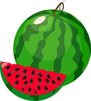 rijpe watermeloen illustratie vector