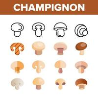 champignon, eetbare paddestoel vector lineaire pictogrammen set