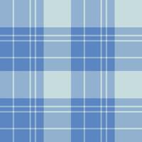 naadloos patroon in fantasie lichte en donkerblauwe kleuren voor plaid, stof, textiel, kleding, tafelkleed en andere dingen. vector afbeelding.