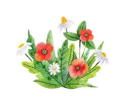 aquarelboeket met madeliefje, klaproos en prachtige wilde bloemen vector