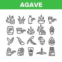 agave aloë vera plant collectie iconen set vector