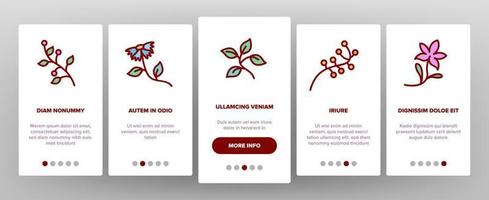 Wildflower natuurlijke onboarding pictogrammen instellen vector