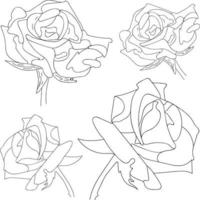 roos vector set met de hand tekenen. mooie bloem op witte achtergrond. zwarte kleur lijntekeningen roos.