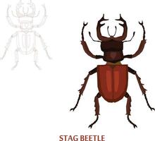 insecten schets naar vectorillustratie vector