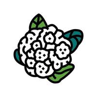 bloemkool kool kleur pictogram vectorillustratie vector