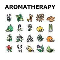 aromatherapie kruiden collectie iconen set vectorillustratie vector