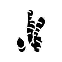 gember aromatherapie glyph pictogram vector geïsoleerde illustratie