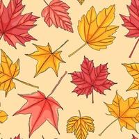 herfst esdoornblad naadloze patroon. gekleurde boombladeren print vector