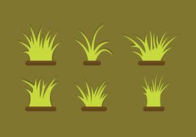 Gras Vector Set