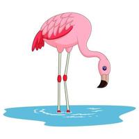 cartoon schattige flamingo vector