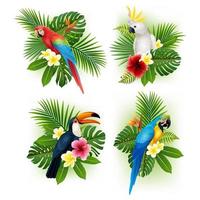 verzameling tropische bloemen en vogels vector