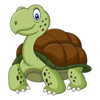 grappige schildpad cartoon vector