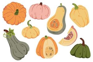 handgetekende pompoenen, halloween-pompoen, herfstoogstvectorillustratie. pompoenen en squash symbolen set. herfst Thanksgiving en Halloween pompoenen collectie vector