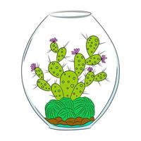 kleurrijke cactus doodle illustratie set. vector