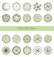 boom voor architecturale plattegronden. entourage ontwerp. verschillende bomen, struiken en struiken, bovenaanzicht voor het landschapsontwerpplan. vector