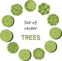 boom voor architecturale plattegronden. entourage ontwerp. verschillende bomen, struiken en struiken, bovenaanzicht voor het landschapsontwerpplan. vector