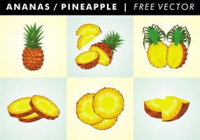 Ananas / Ananas Gratis Vector