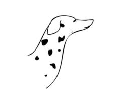 vectorhond. dolmatische rassen. geïsoleerd element voor het pictogram, het logo van producten voor huisdieren. minimalisme in de stijl van lijntekeningen vector