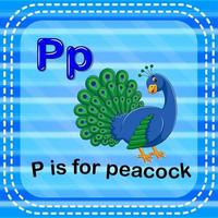 flashcard letter p is voor pauw vector