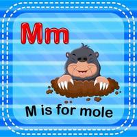 flashcard letter m is voor mol vector