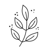 tak van plant. bladeren in lijnstijl. zwart-wit natuurlijke illustratie. schets minimalisme en eenvoudige flora. vector
