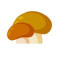 een grote paddenstoel met een bruine dop. natuurlijke eekhoorntjesbrood. Voedsel ingrediënt. herfst oogst. vector