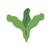 natuur blad plant illustratie vector