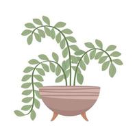 badkamer decoratieve plant vector