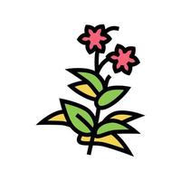 bloem plant fytotherapie kleur pictogram vectorillustratie vector