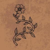 botanische blad doodle wildflower lijntekeningen. hand getekende vectorillustratie. vintage bloemen overzicht. geschikt voor behang, poster, sticker, inhoud sociale media vector