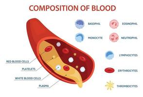 bloedsamenstelling platte infographics vector