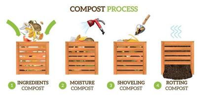 compostproces realistische infographics vector