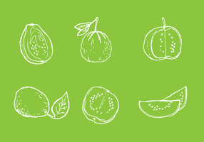Eenvoudige Guava Line Vectors