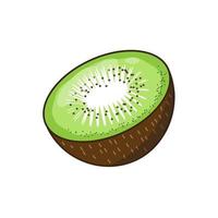 verse kiwi fruit segment vector illustrator eps10