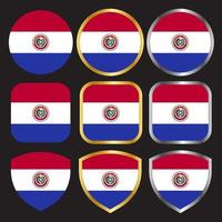 paraguay vlag vector icon set met gouden en zilveren rand