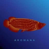 mooie rode arowana vis vectorillustratie vector