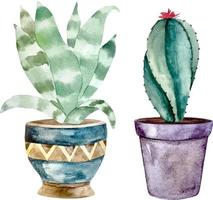 aquarel cactus en vetplanten in pot. aquarel indivi vector