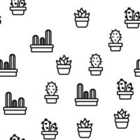 cactus binnenlandse plant vector naadloze patroon