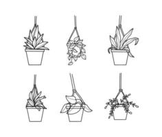 hangende kamerplant illustraties collectie vector
