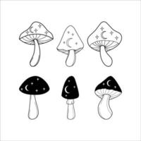 verzameling mystieke illustraties van zwarte en witte paddenstoelen vector