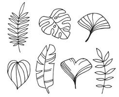 doodle stijl vectorillustratie. eenvoudige set silhouetten van tropische bladeren. lijntekening palmbladeren, monstera, ginkgo boom. geïsoleerd op witte achtergrond vector